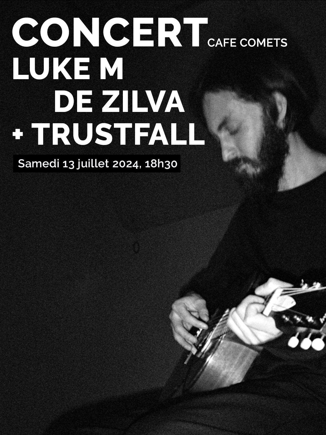 Concert · Trustfall & Luke M de Zilva
