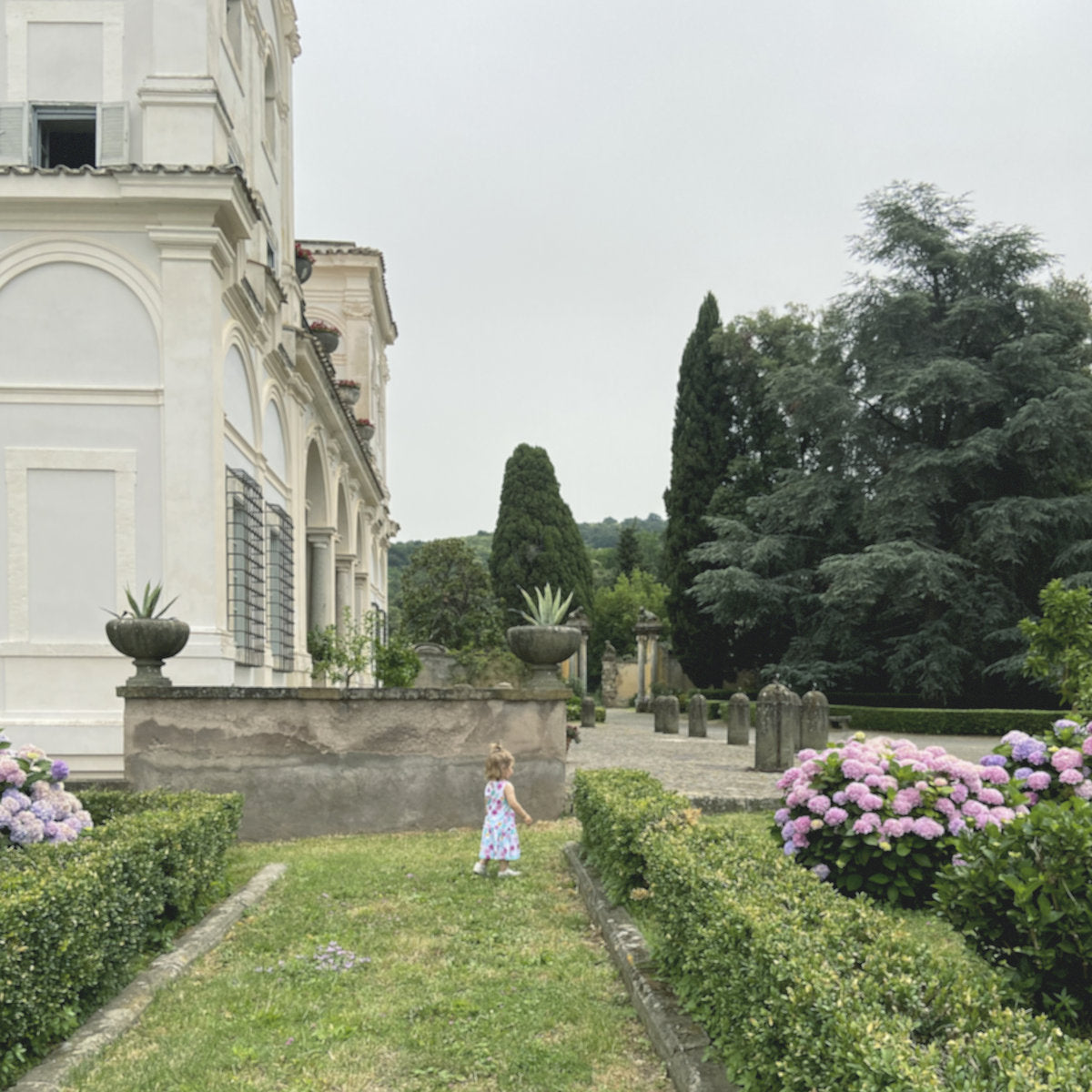 Abul Mogard · In a Few Places Along the River