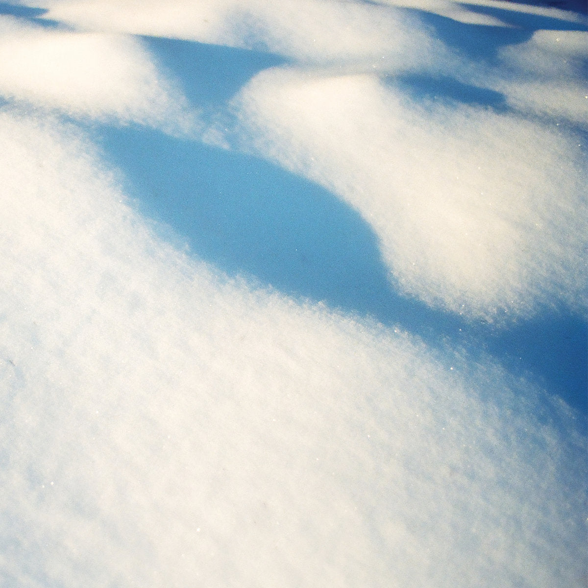 Flore Laurentienne · 8 tableaux