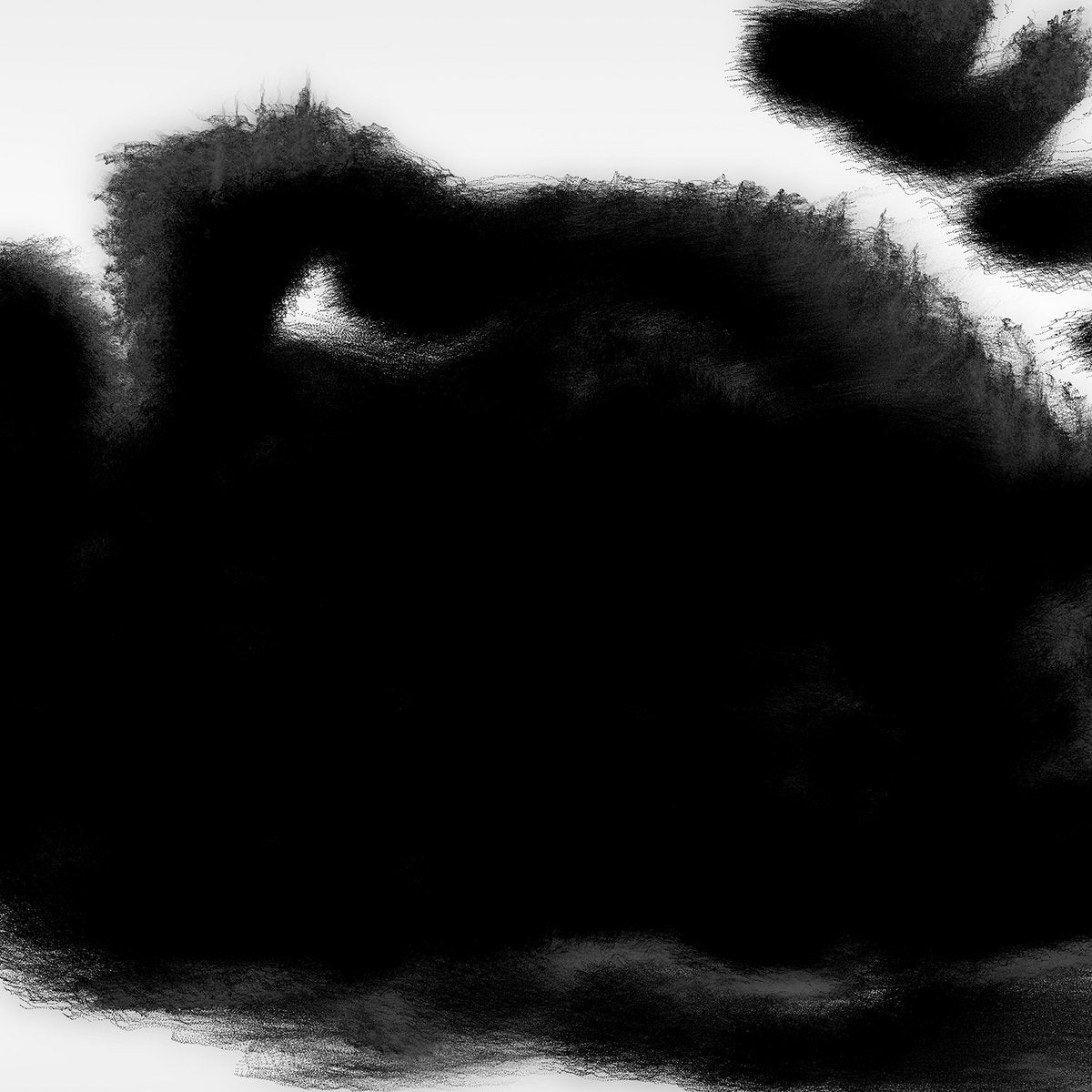 Rafael Anton Irisarri · Points of Inaccessibility