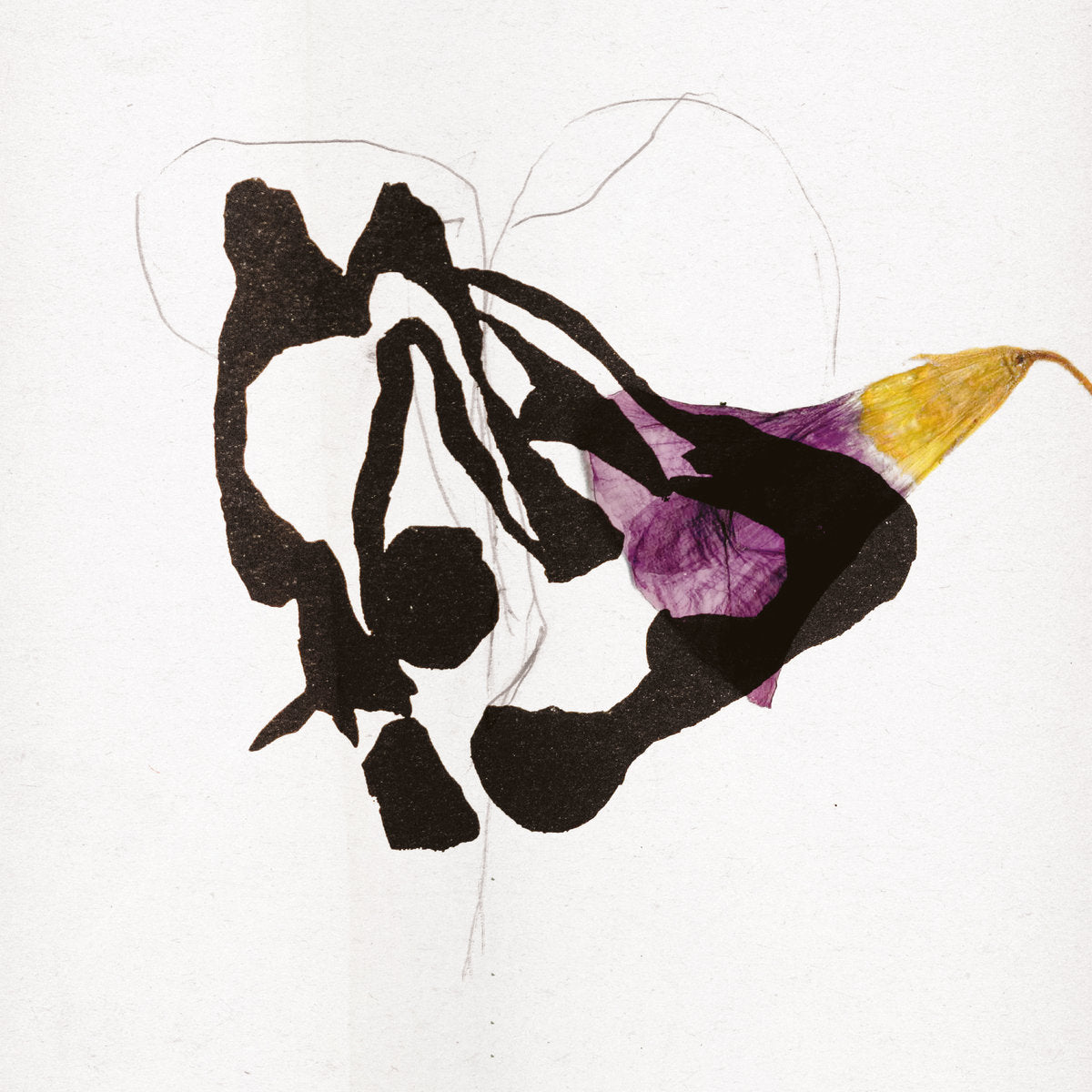 Roxane Métayer · Vies Sylvestres