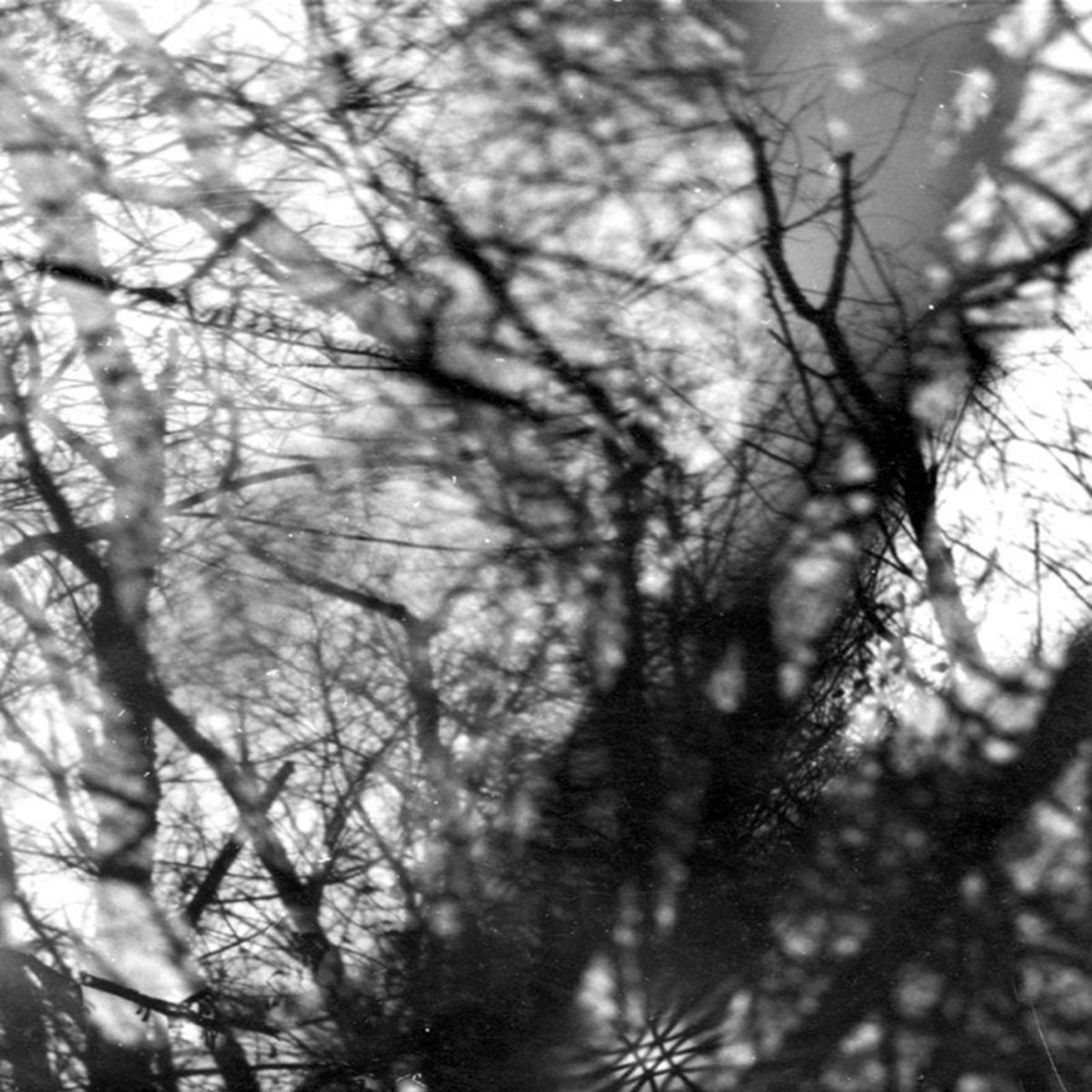 Grouper · Way Their Crept